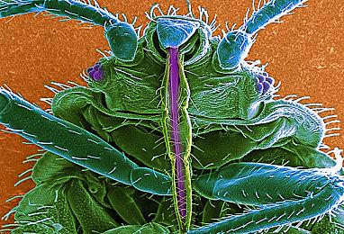 18人飞天撞车《Jected - Rivals》开启抢鲜体验